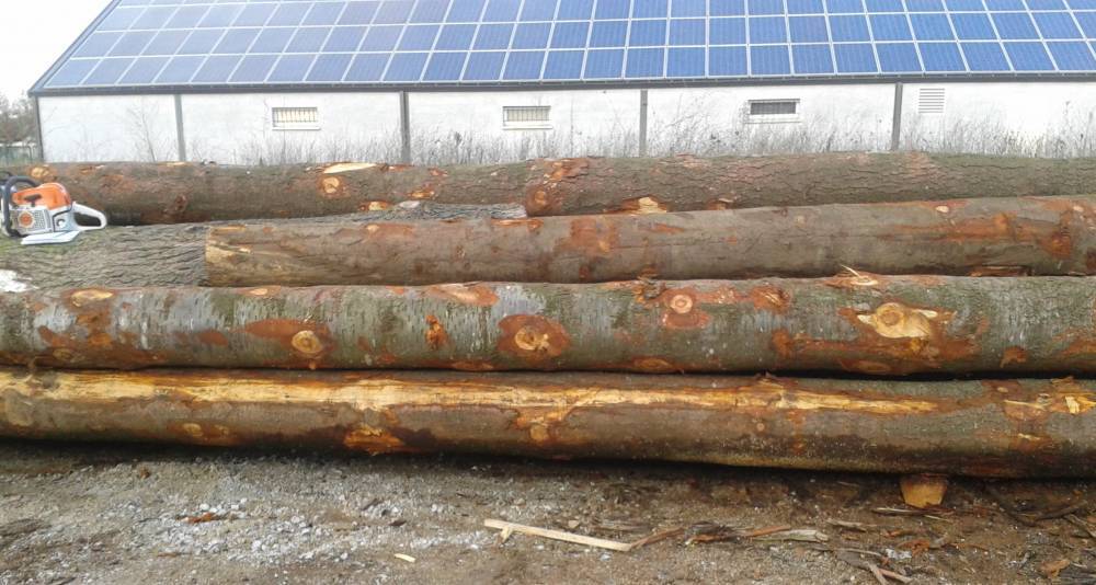 Fournisseur de bois près de Haute-Garonne